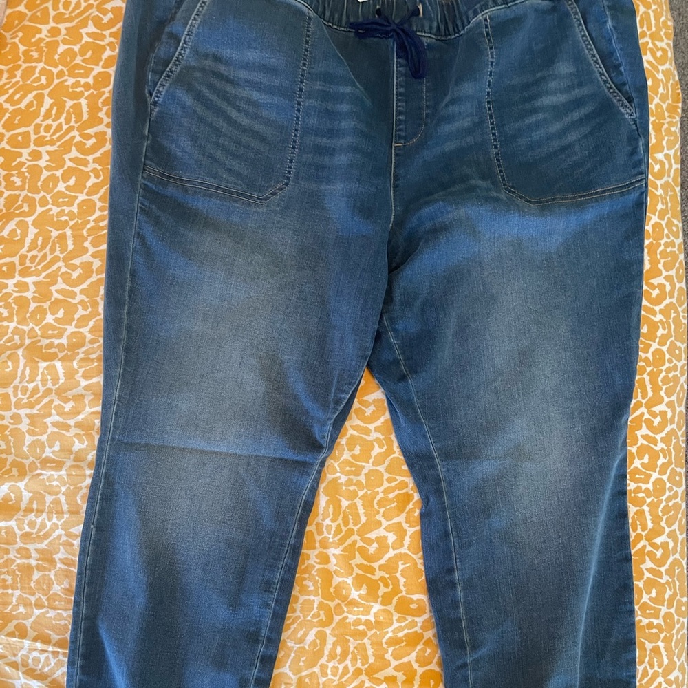 Torrid Jogger Jeans Light Wash NWT 3X